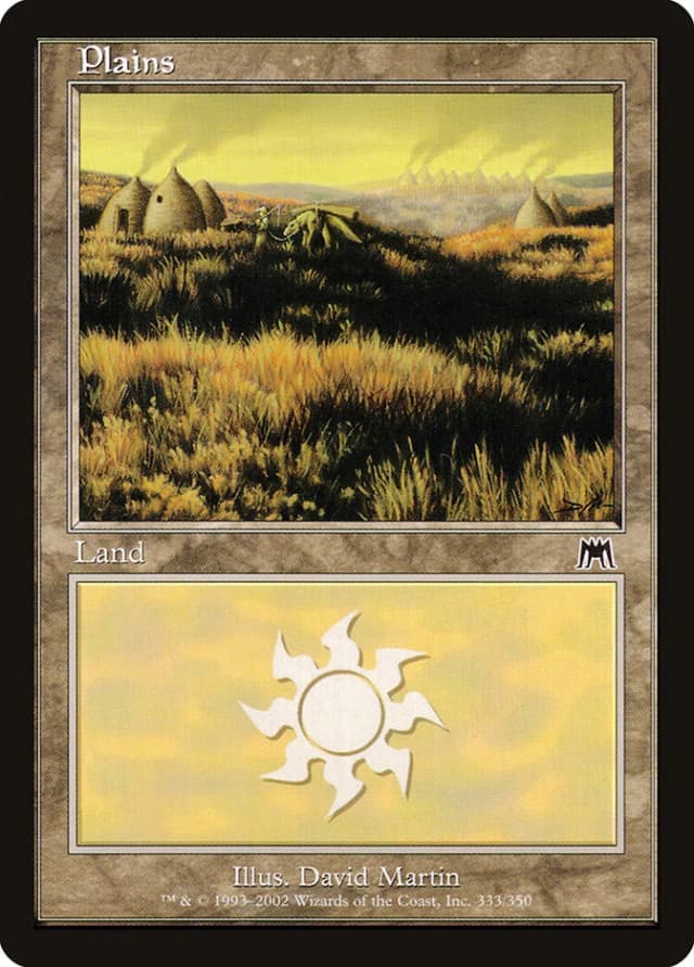 Plains image