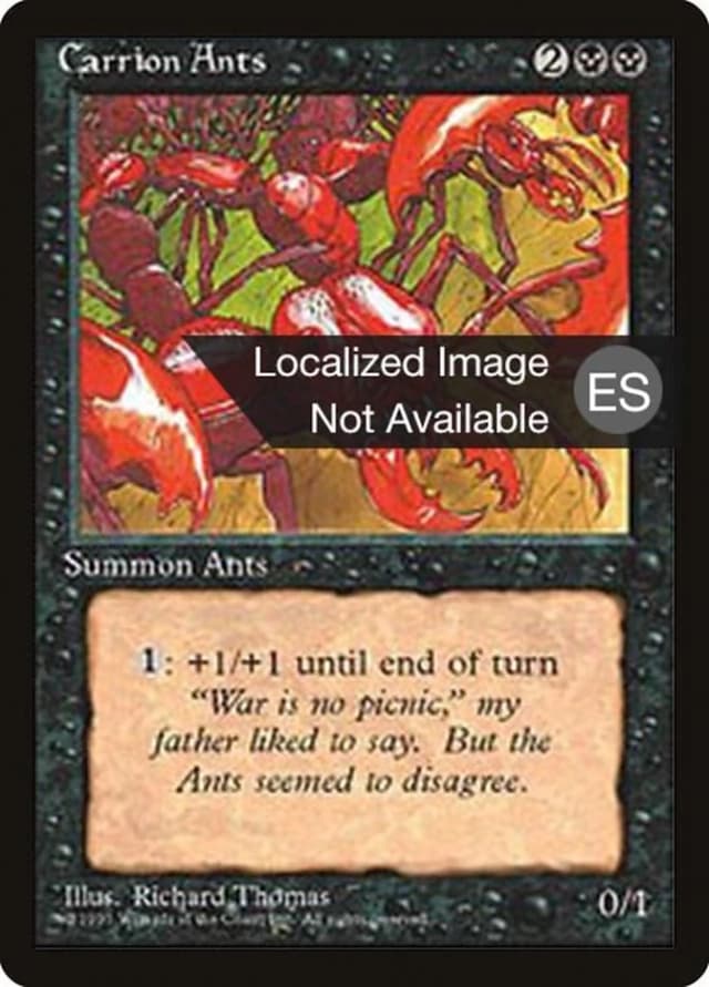 Carrion Ants image