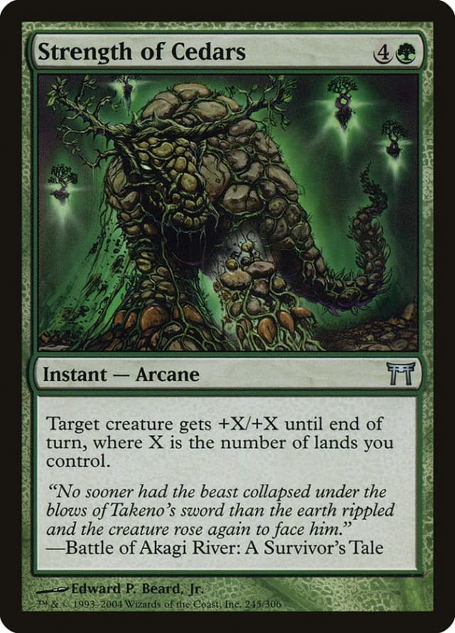 Strength of Cedars image