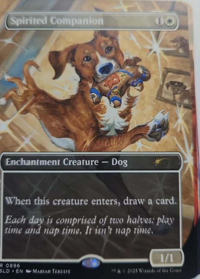 Spirited Companion image