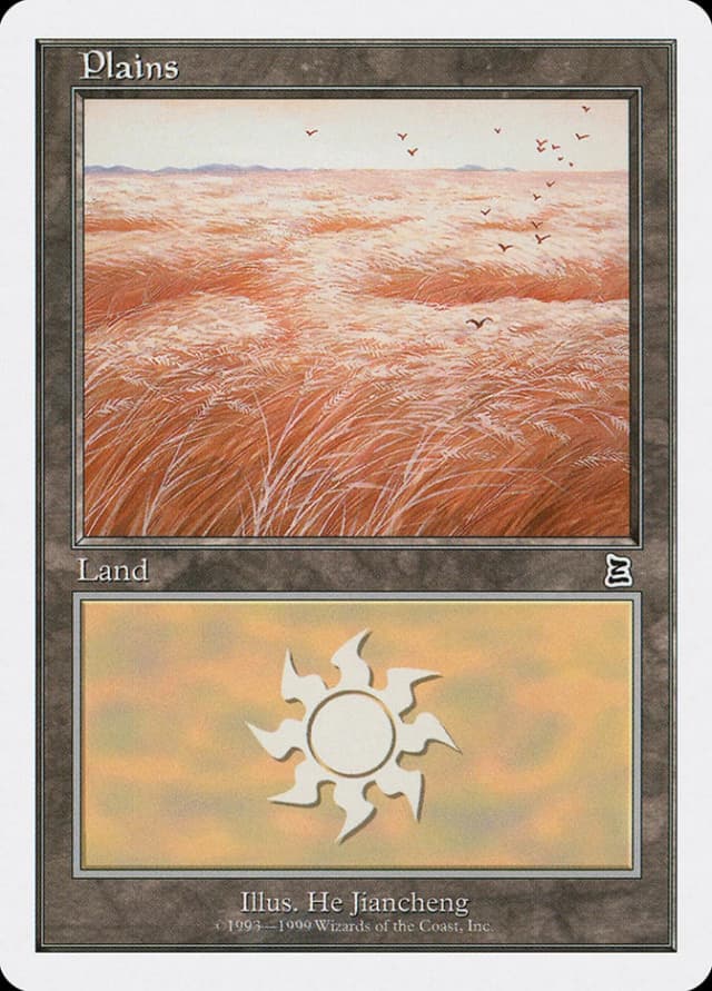 Plains image