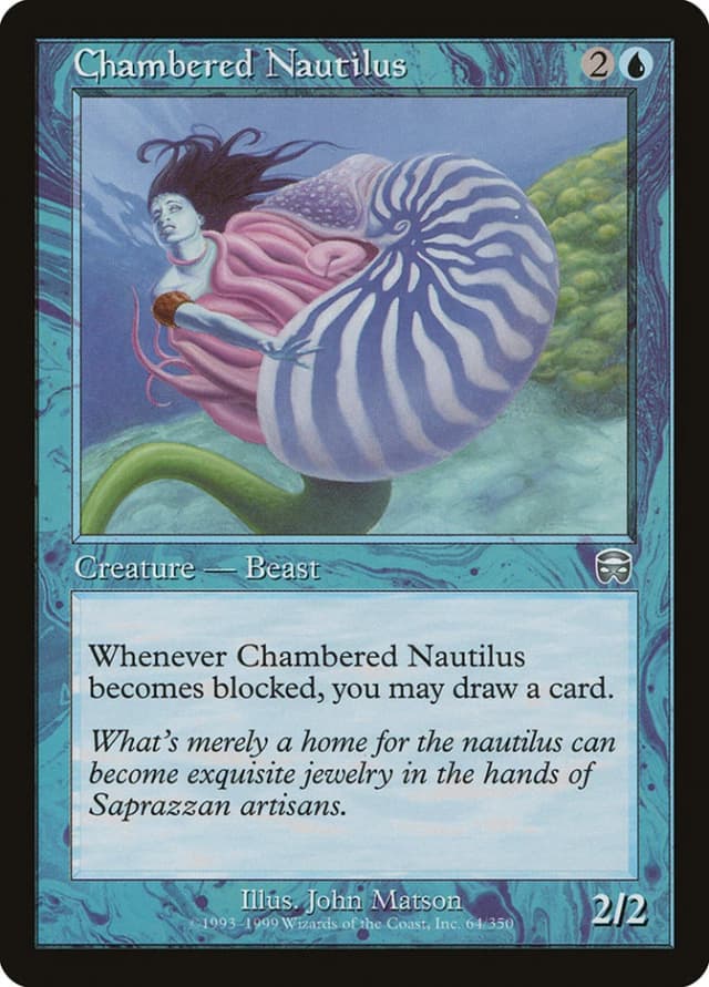 Chambered Nautilus image