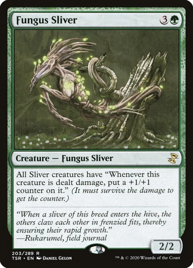 Fungus Sliver image