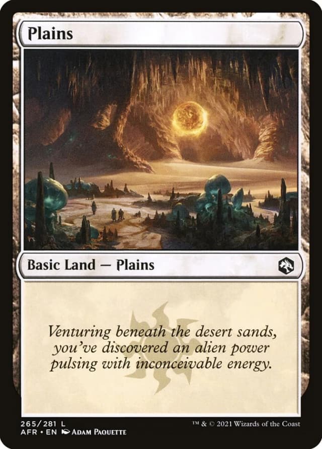 Plains image