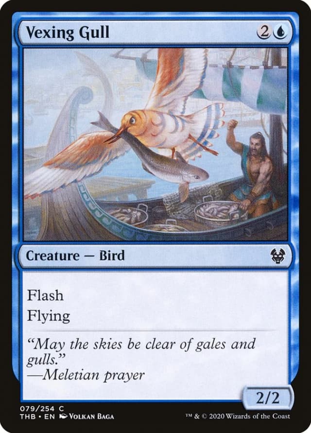 Vexing Gull image