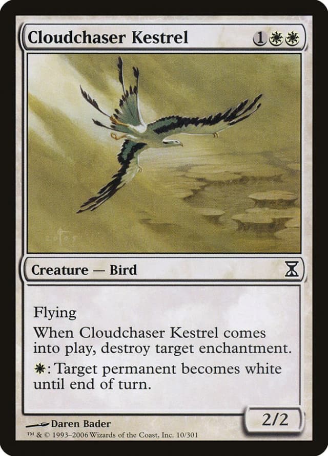 Cloudchaser Kestrel image