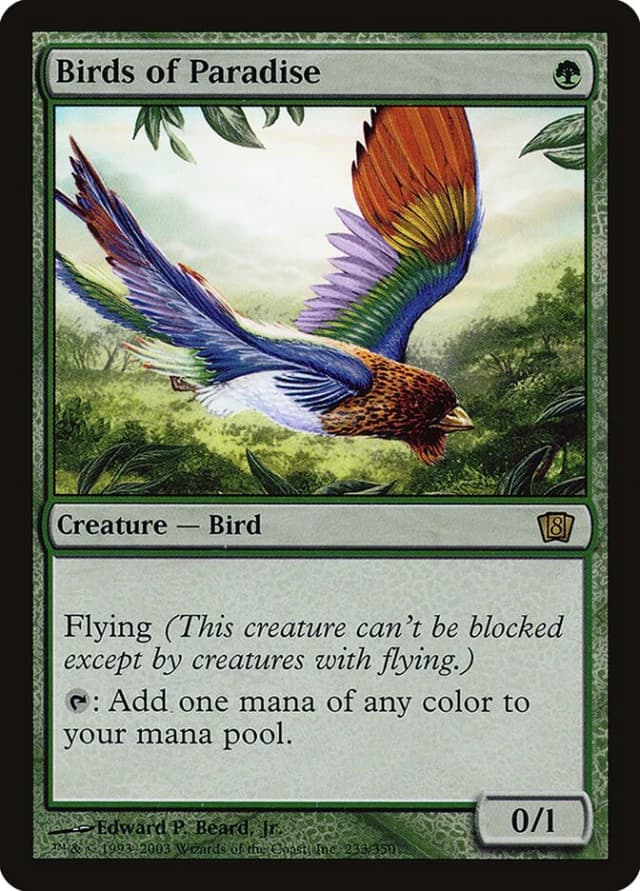 Birds of Paradise image