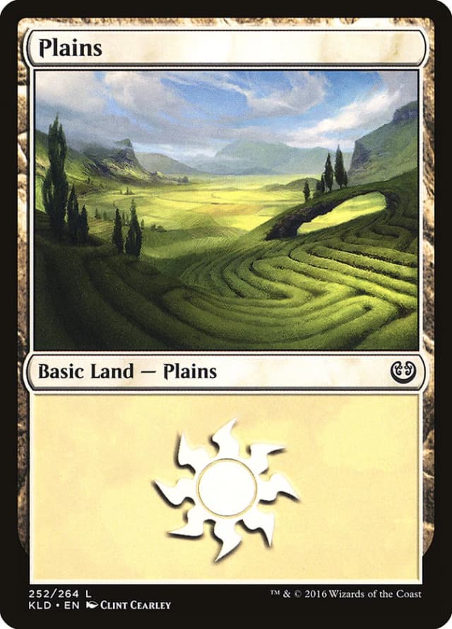 Plains image