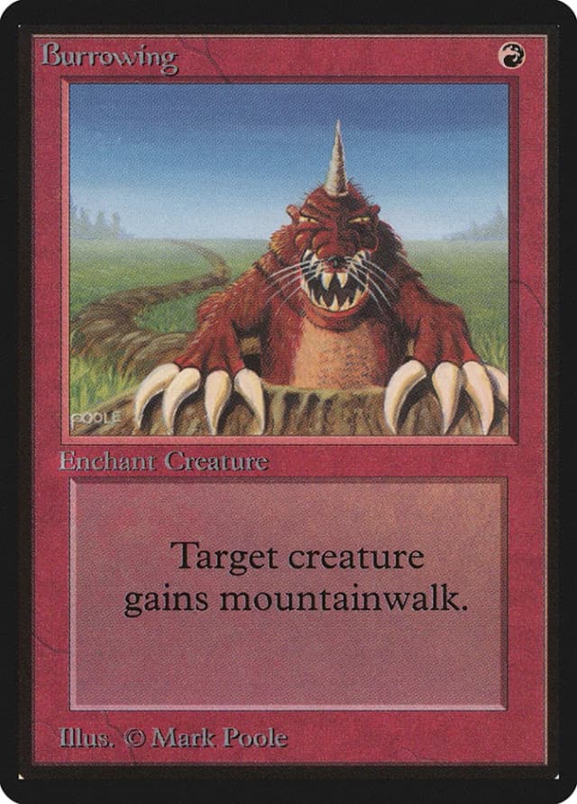 Burrowing image