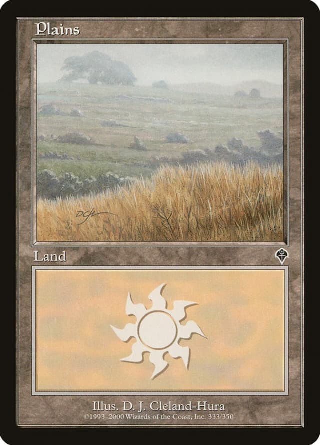 Plains image