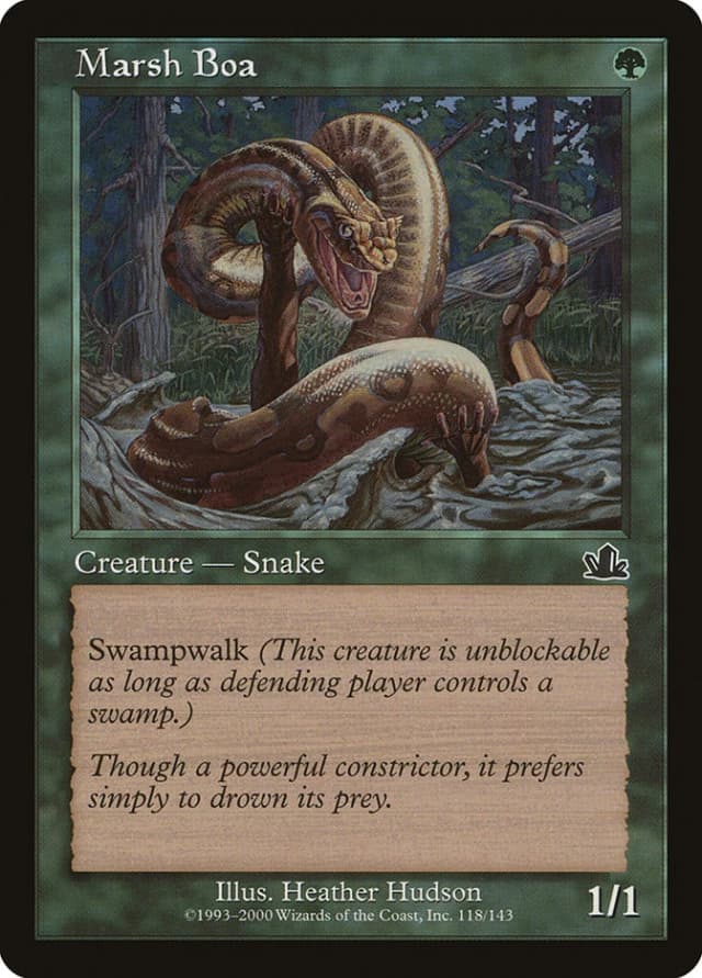 Marsh Boa image