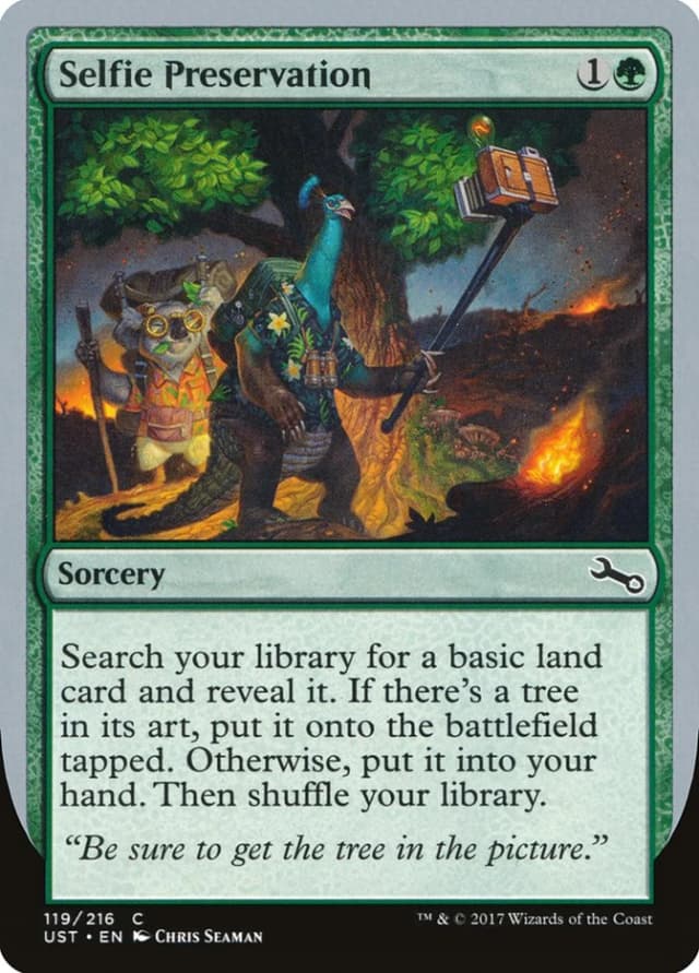 Selfie Preservation image