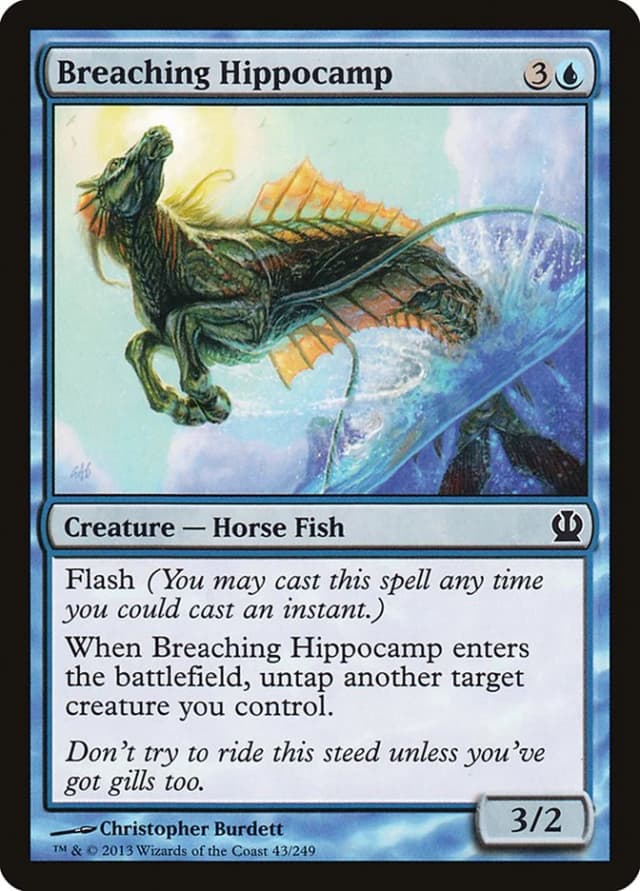 Breaching Hippocamp image