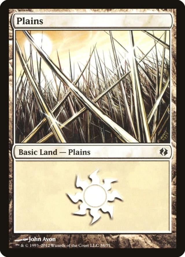 Plains image