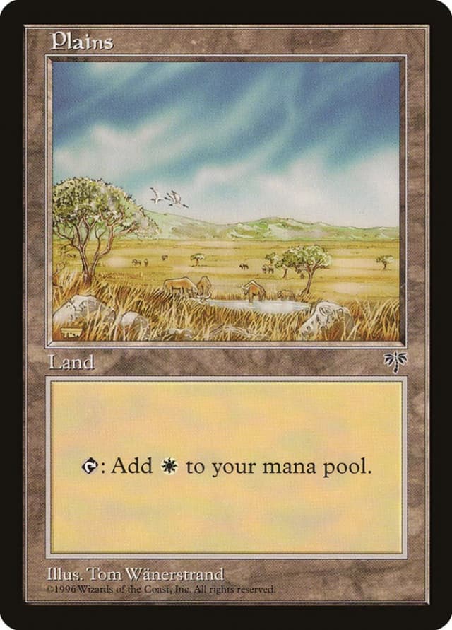 Plains image