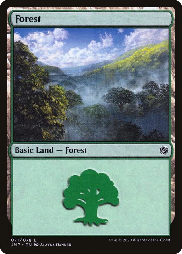 Forest image