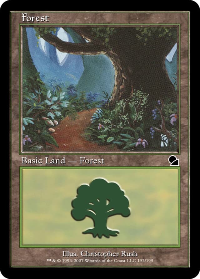 Forest image