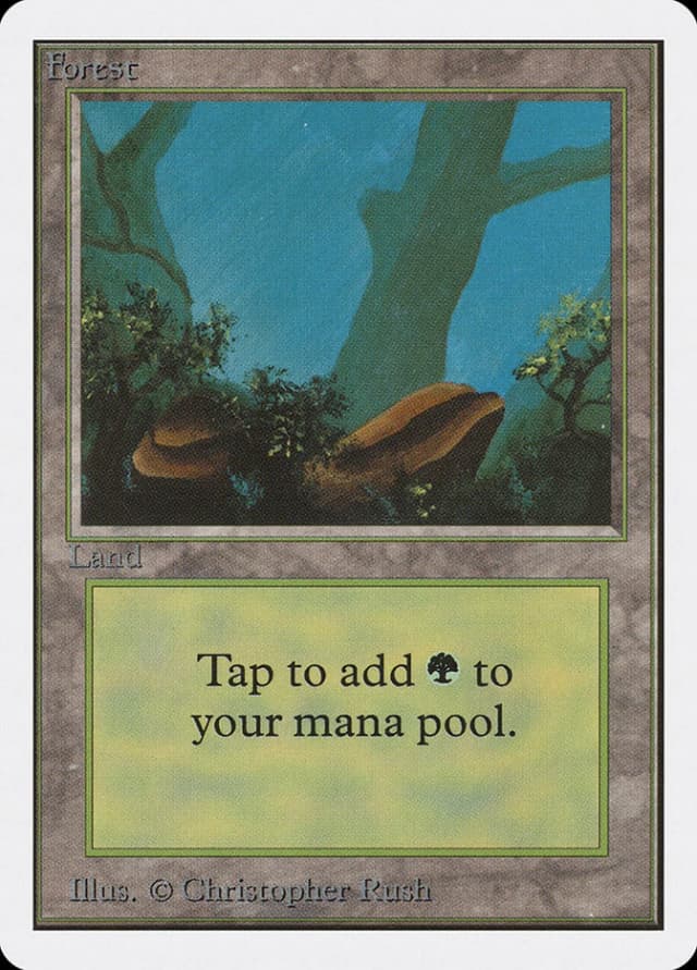 Forest image