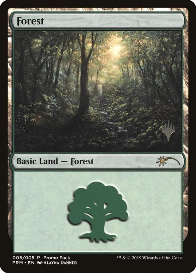Forest image