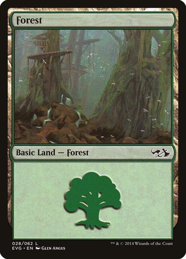 Forest image