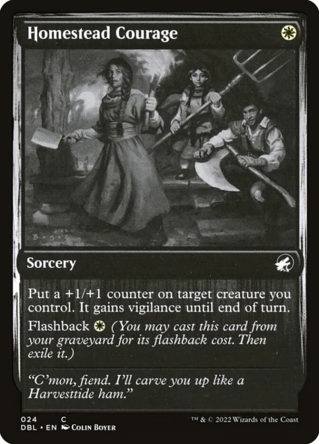 Homestead Courage image