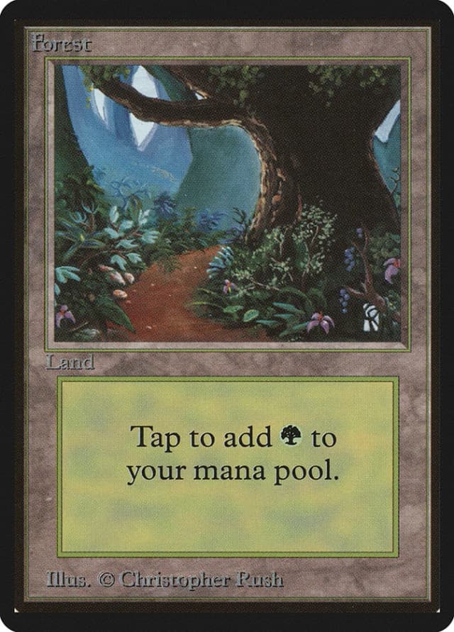 Forest image