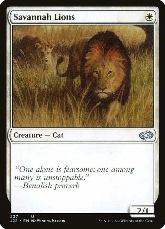 Savannah Lions image