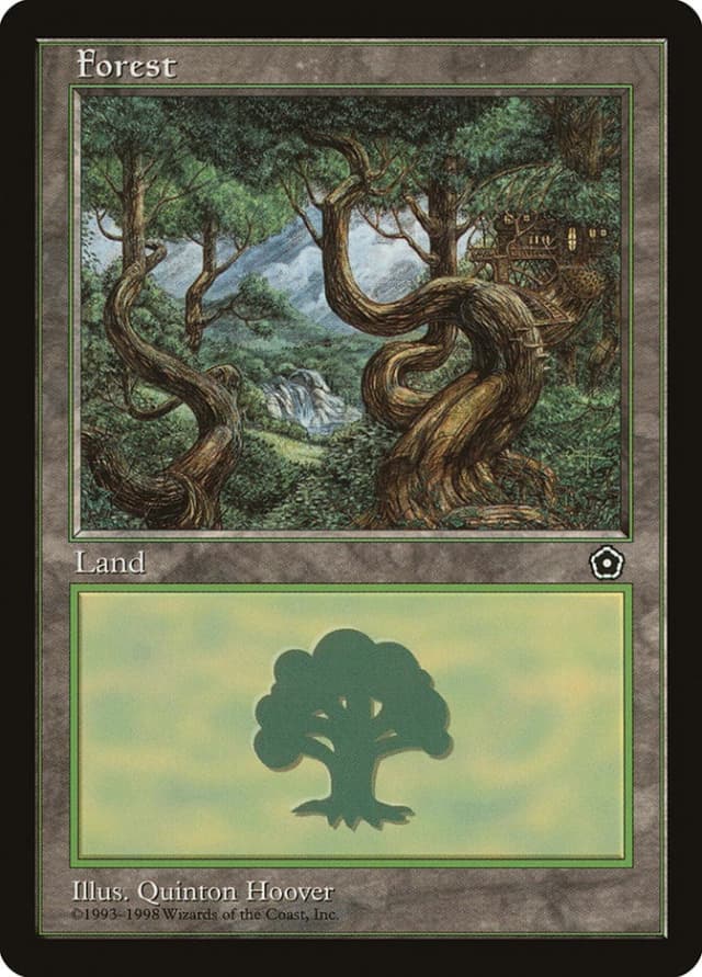 Forest image