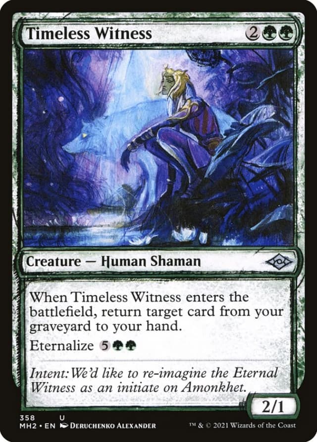 Timeless Witness image