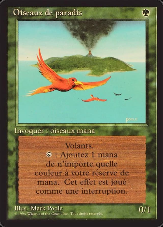 Birds of Paradise image