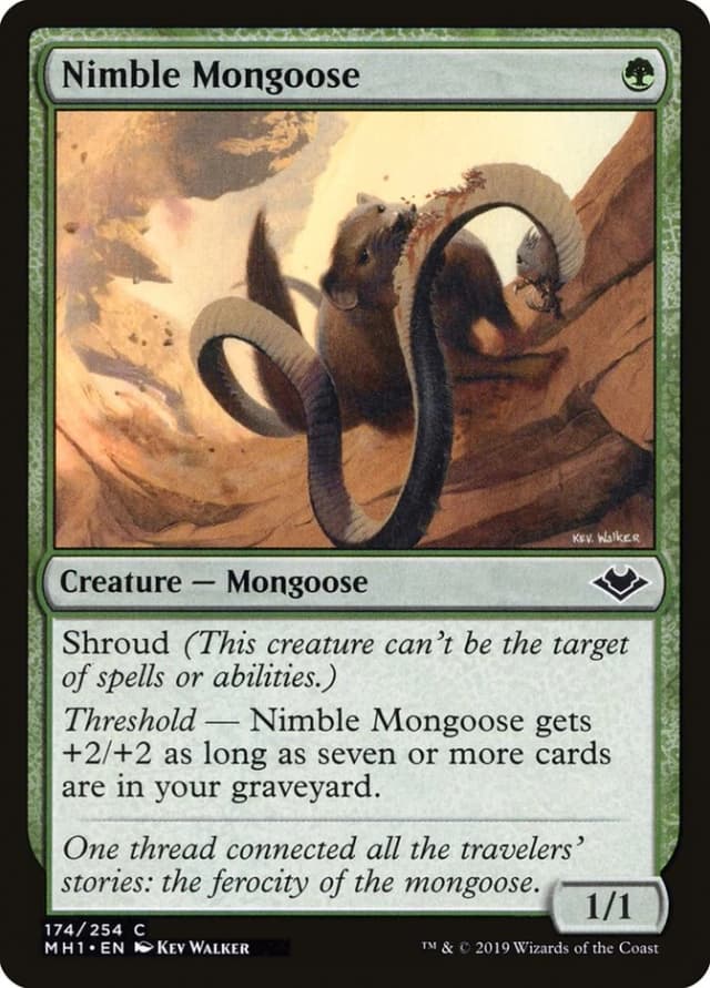 Nimble Mongoose image