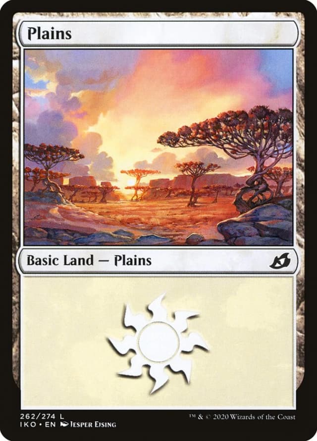 Plains image
