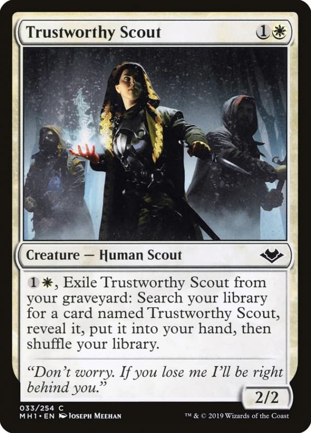 Trustworthy Scout image
