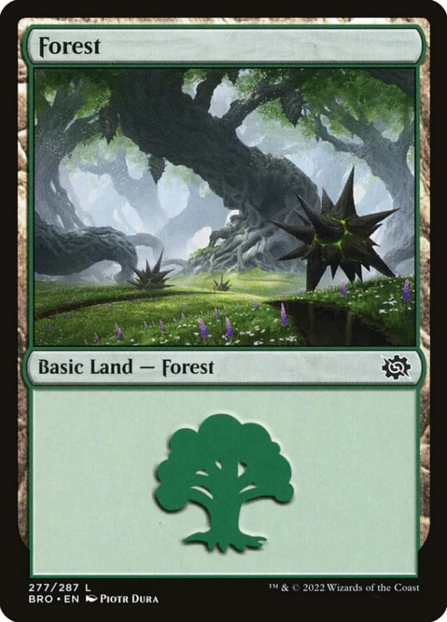Forest image