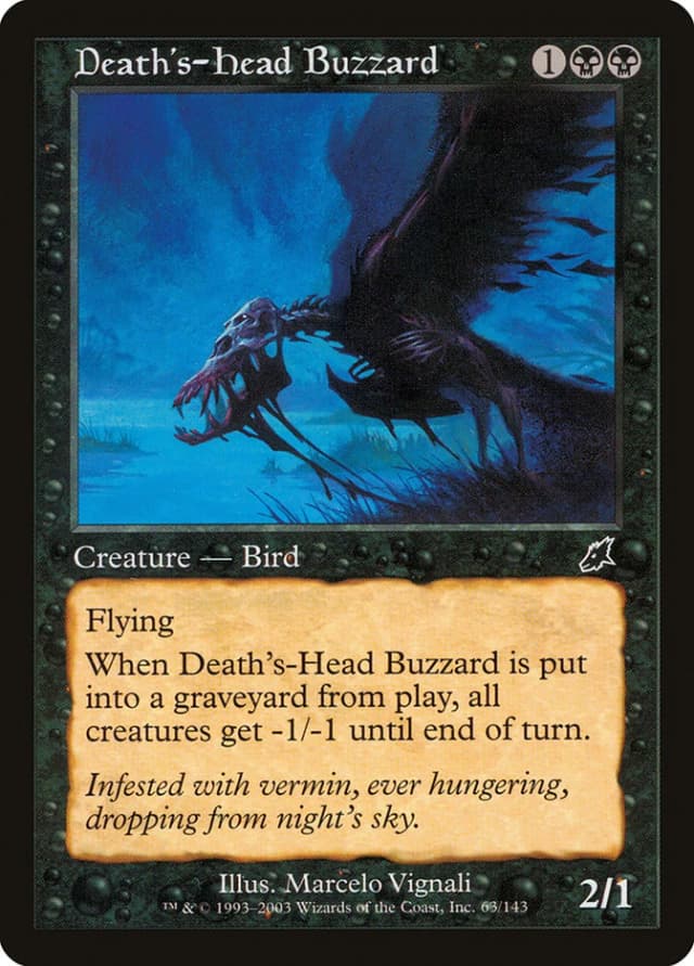 Death's-Head Buzzard image