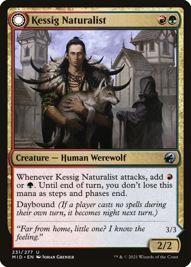 Kessig Naturalist // Lord of the Ulvenwald image