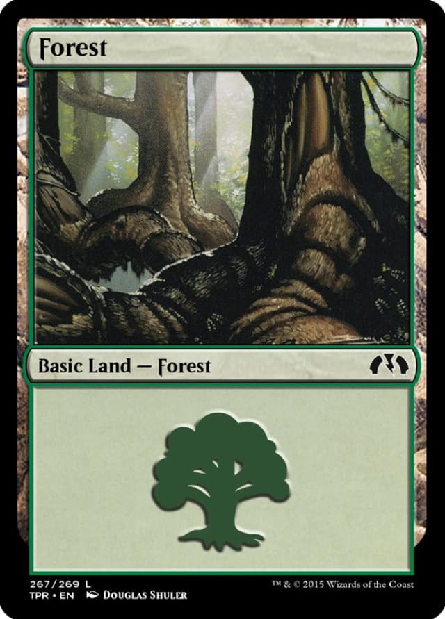 Forest image