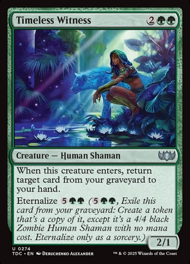 Timeless Witness image