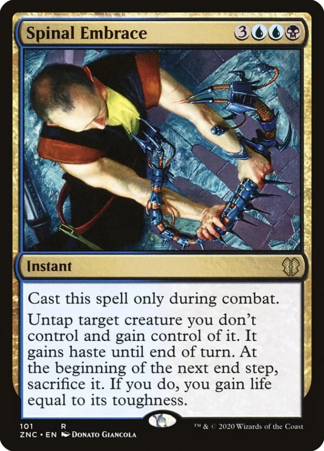 Spinal Embrace image