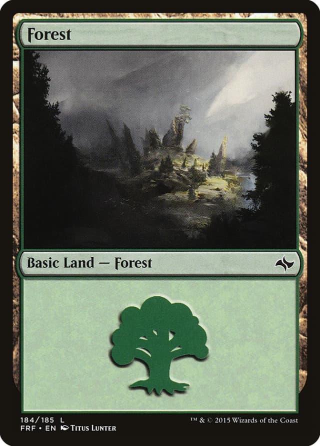 Forest image