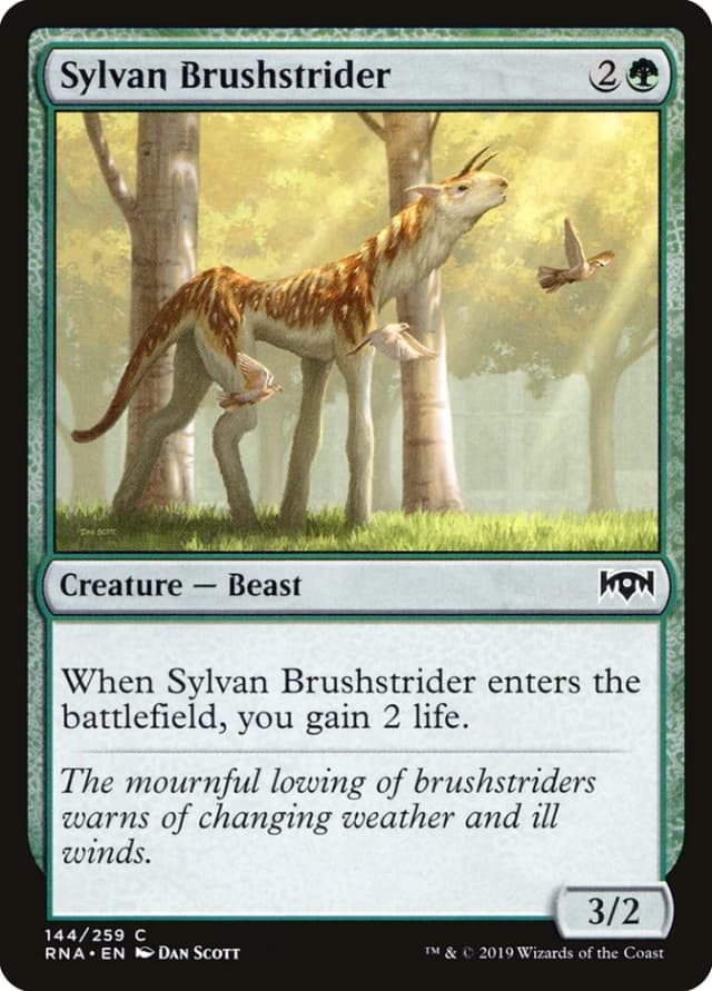 Sylvan Brushstrider image