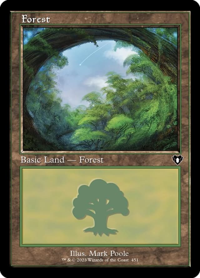 Forest image