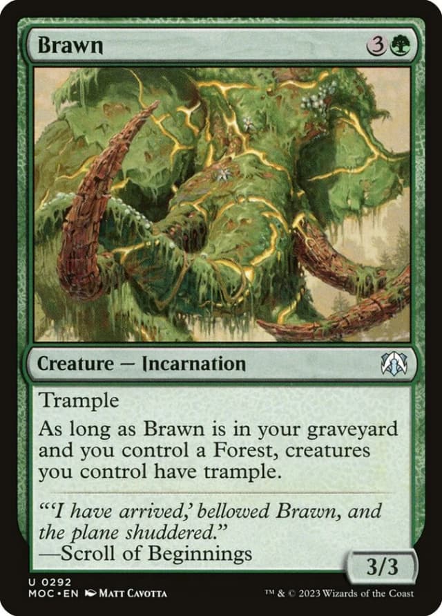 Brawn image
