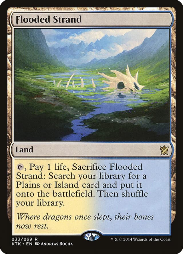 Flooded Strand image