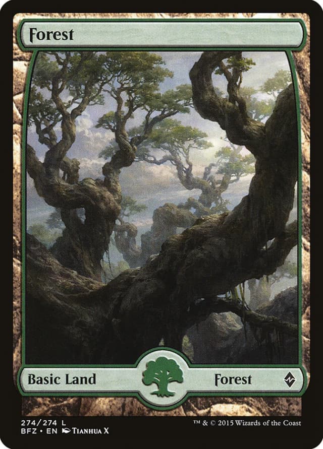 Forest image