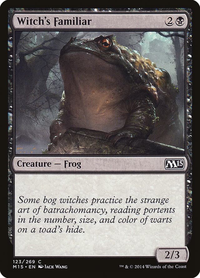 Witch's Familiar image