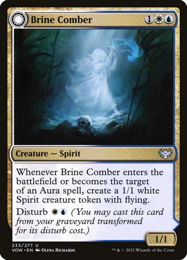 Brine Comber // Brinebound Gift image