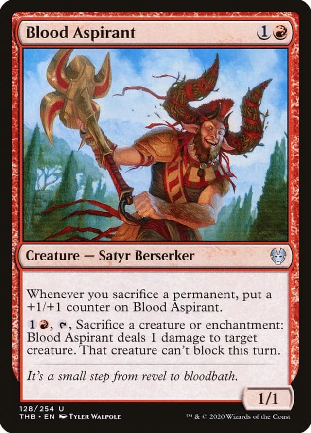 Blood Aspirant image