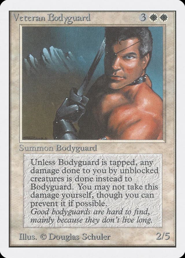 Veteran Bodyguard image