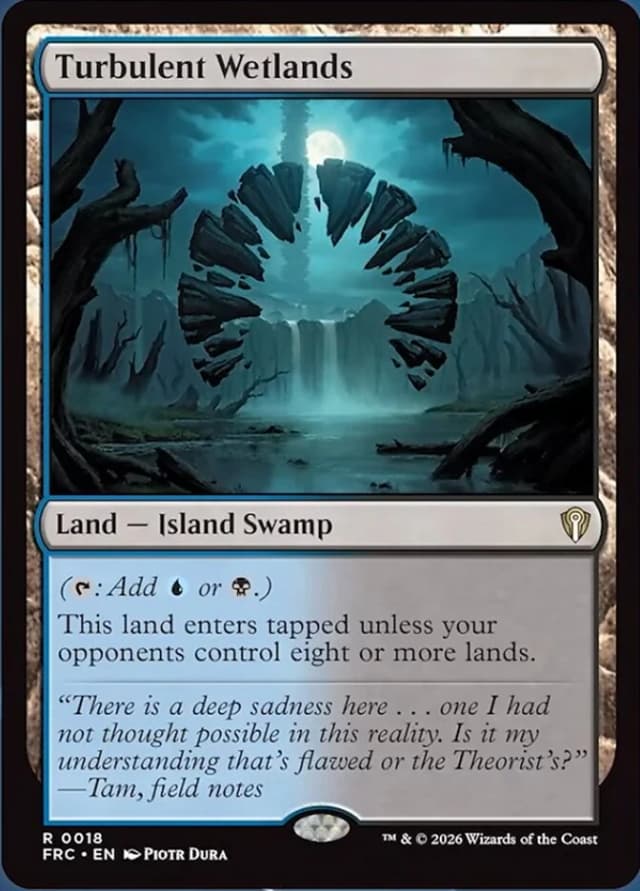 Turbulent Wetlands image